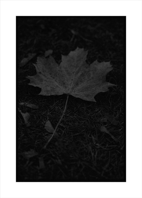 _13CWC_Boyd Smith Photo_.jpg