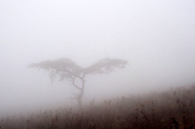 Point Reyes, California