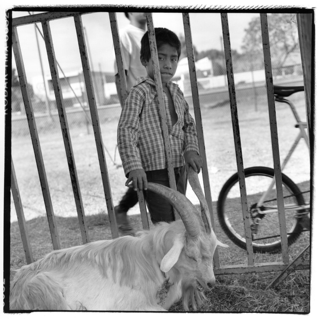 Mex., boy and goat229.jpg