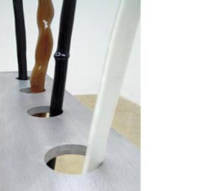 Walking sticks, detail