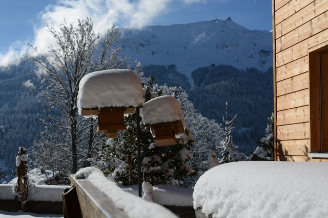 Chalet-Fuechsli-Klosters-Winter-9.JPG