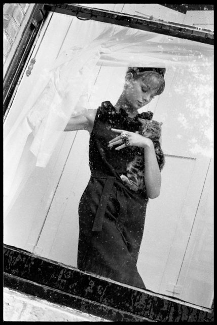 jean shrimpton & cat.jpg