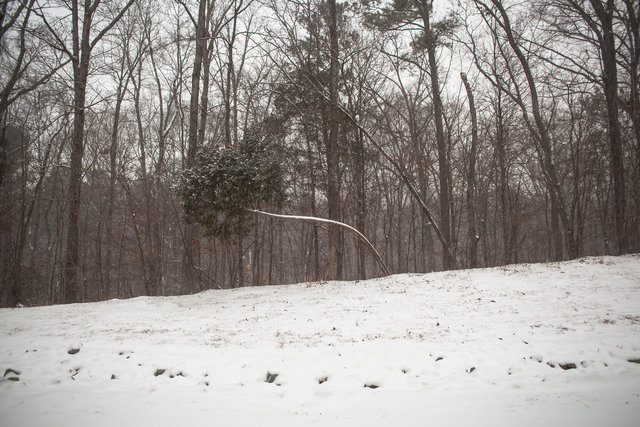 Research Triangle Park, Durham, North Carolina