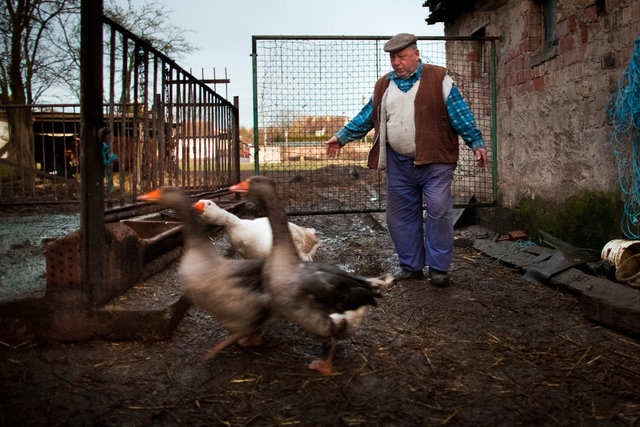 The farming couple Helmut and Hertha in Froeßnitz, Germany, live like they are in another time.