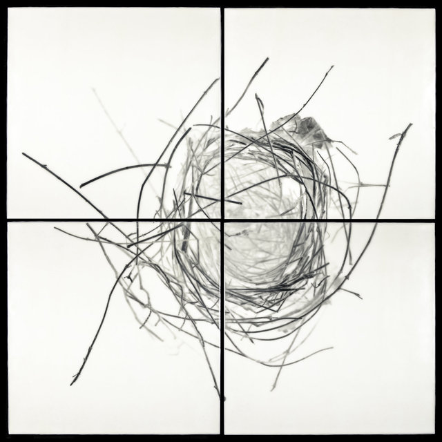 Nest XVIII