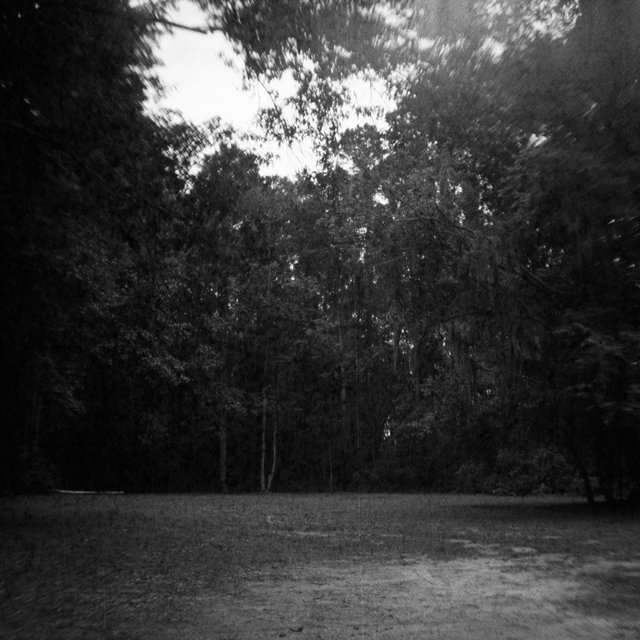 Close te Sheldon Church ruins, South Carolina USA