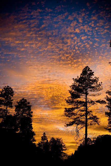 Mt. Lemmon Sunset