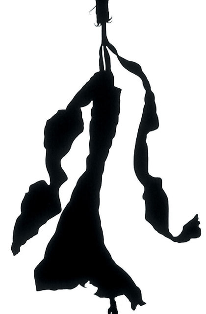 Hibiscus Silhouette III - Not for Sale