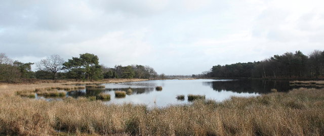 nationaal park dwingelerveld - terhorsterzand