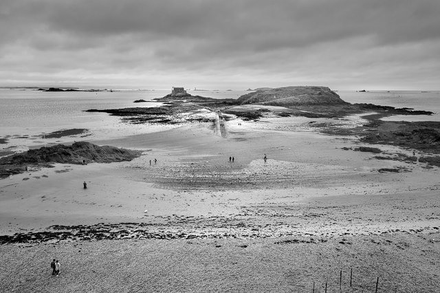 Low tide-229.jpg