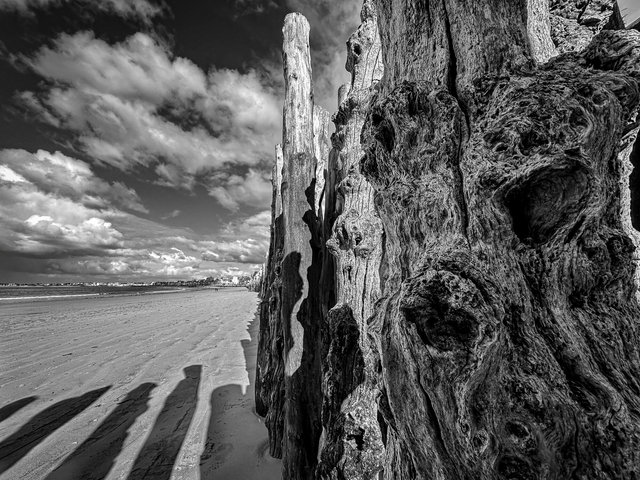 Someone ...is watching. Saint Malo-69.jpg