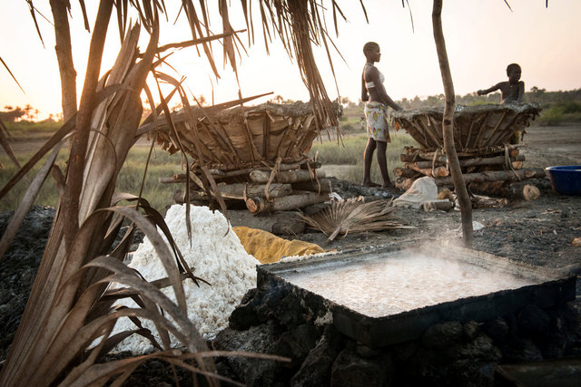 Production de sel marin, village de Kanof, Guinée