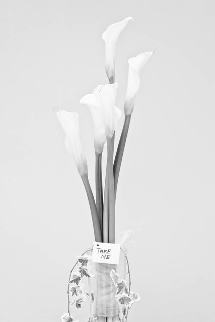 Kurn_091121_2752_BW.jpg