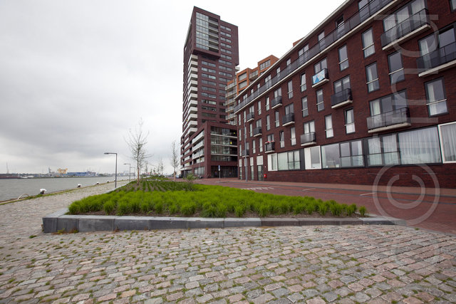 _MG_4678.jpg