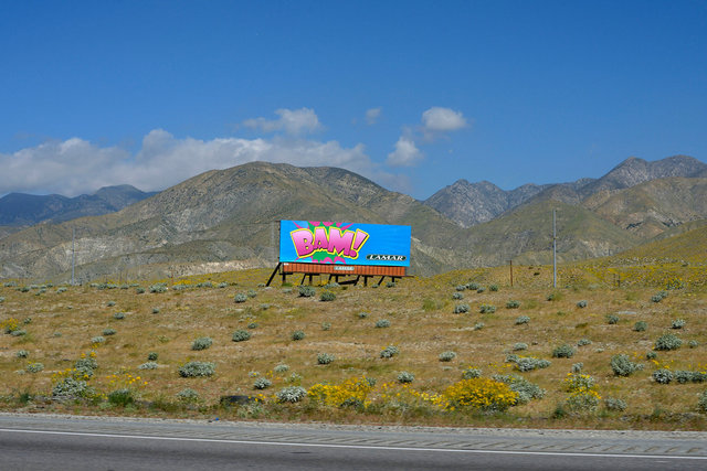 0031_palmsprings4.jpg