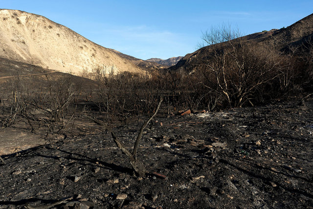 0058_lamalibufires.jpg