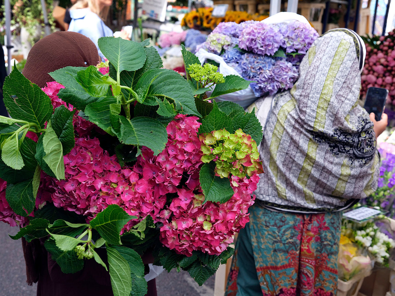 Columbia Road: Full Bloom