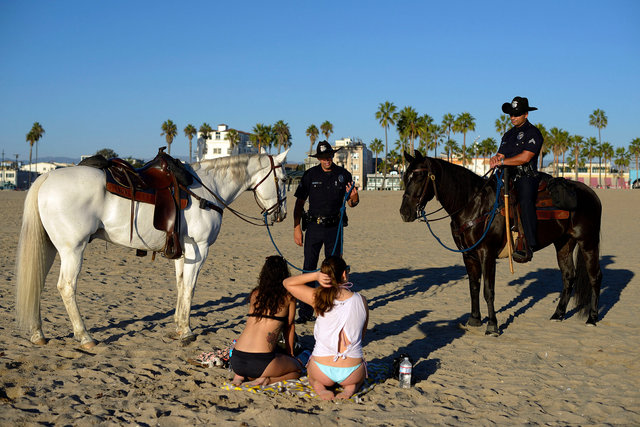 venicebeachhorsesgirls 2.jpg