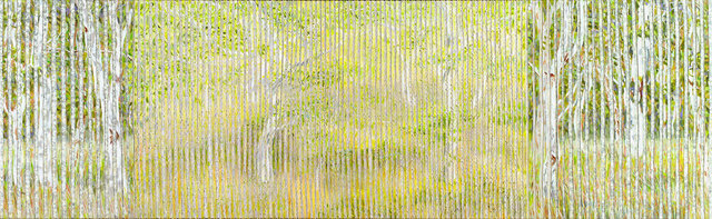 27.-Eucalypt-Forest-Clearing.-2013.-Acrylic-and-nylon-thread-on-canvas,-49cmH-x-154cmW.-Catherine-Holmes-a-Court-Mather-Collection.jpg