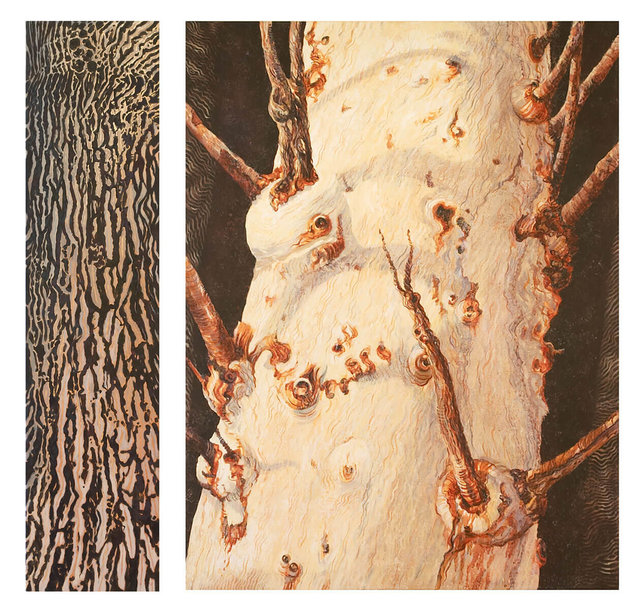 9.-Big-Tree-Yearning-in-Jaburara-Country-#1-2005.-Diptych,-acrylic-on-canvas.-Overall-size-130cmH-x-134cmW.-Collection-of-the-artist.jpg