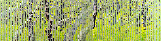 25.-Regrowth-at-Gnarabup,-2013.-Acrylic-on-canvas,-48cmH-x-178cmW.-Private-Collection.jpg