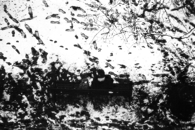 Bacteria.jpg