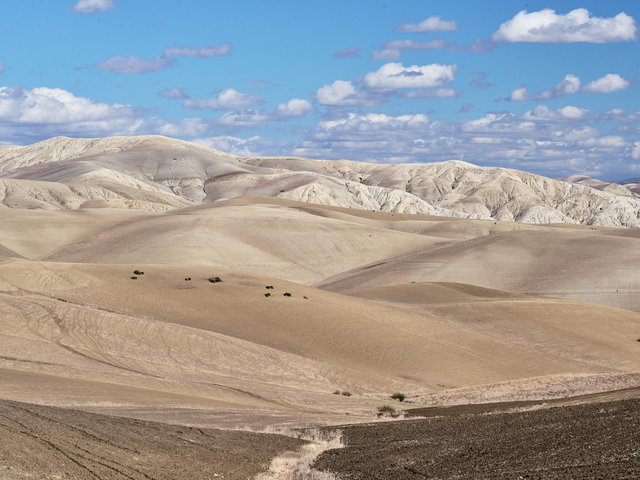 _IMG4046 1.jpg
