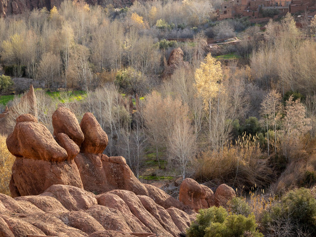 1d Dades Valley 12-1.jpg