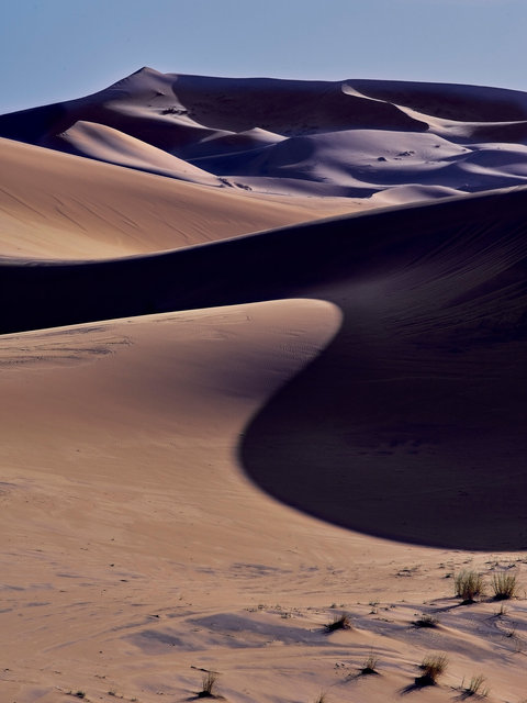 _IMG0284 3.jpg