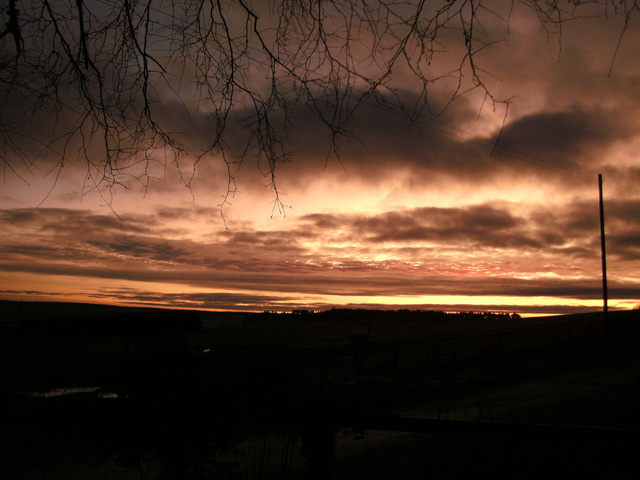 Dusty Pink Sunrise by Alison Gracie
