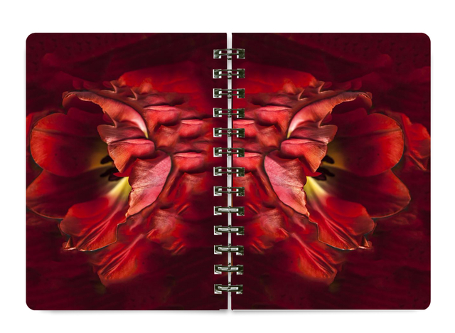 NEW 5x7 Spiral Notebook #NB05 BEST SELLER