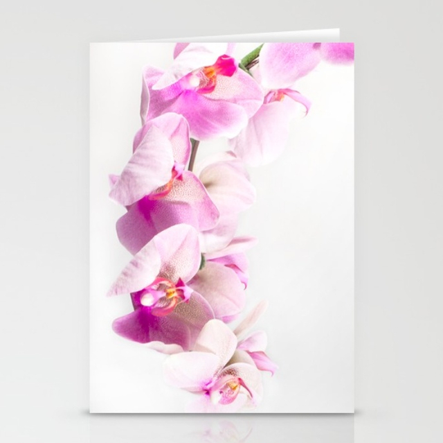 Orchids In Pink, ORC 001