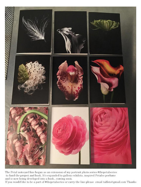 Petal Cards.jpg