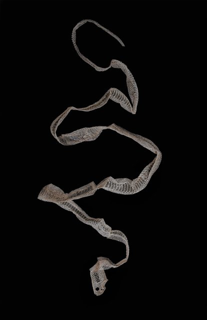 snake 5x7 I2 MG_0694-Enhanced-NR.jpg