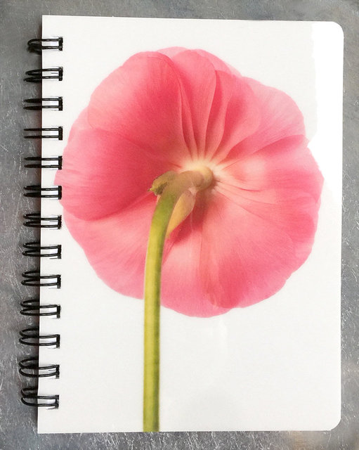 NEW 5x7 Spiral Notebook #NB03