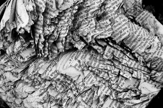 Pearblossem Highway-6.jpg