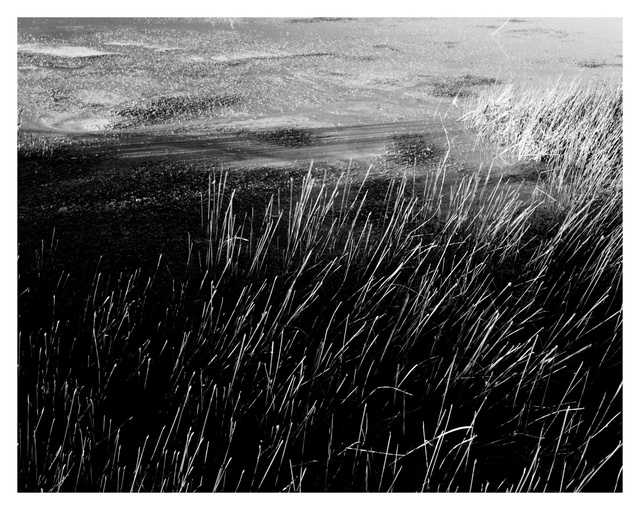 Reeds and Mary, Flagstaff, Arizona, 2011.jpg