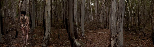 Terra Australis Incognita