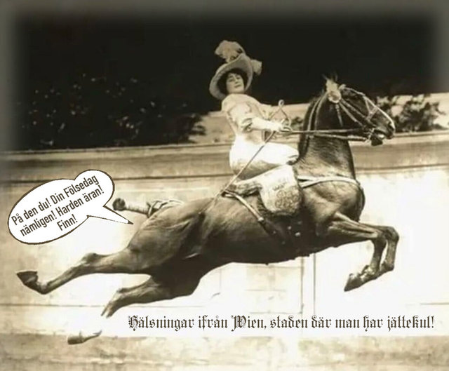 Birthday Congratulation Card