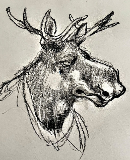 Elk disciple III