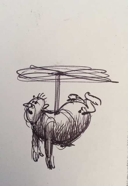 Surgery succes: heli operation