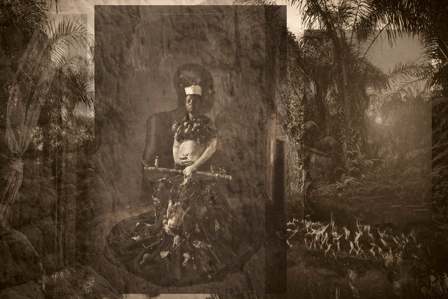 Le chien qui boit le thé