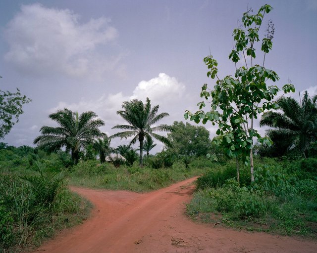 ExpoWuhan C13.jpg