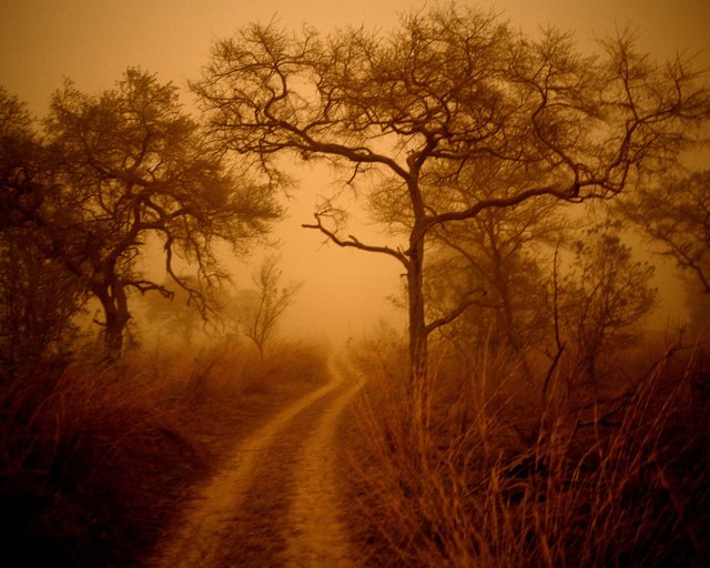 Paysage 100x125.jpg