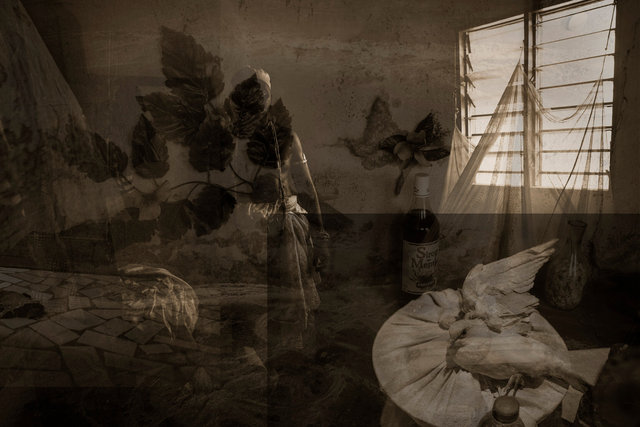 Le chien qui boit le thé