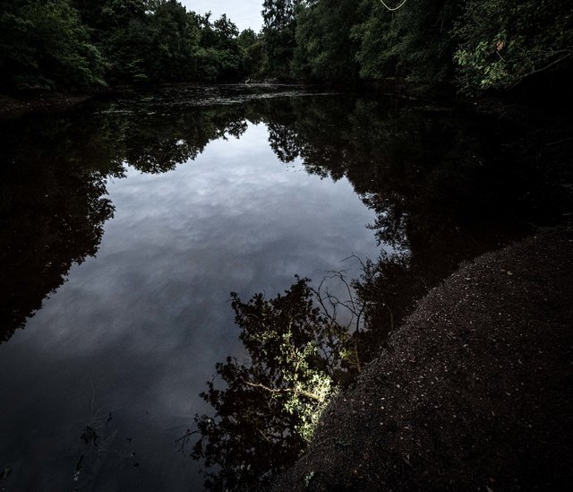 Forêt de Bretagne, Brocéliande. Le val sans retour.