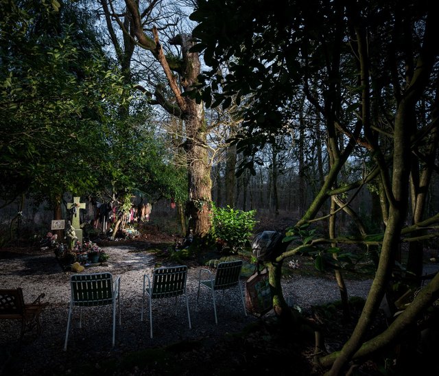 Tombe à  la Fille, forêt de Teillay