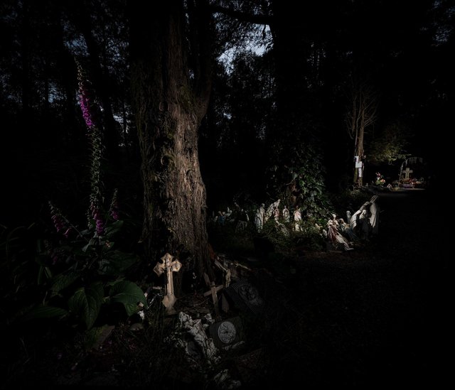 La Tombe à Lénard, bois de la Borne