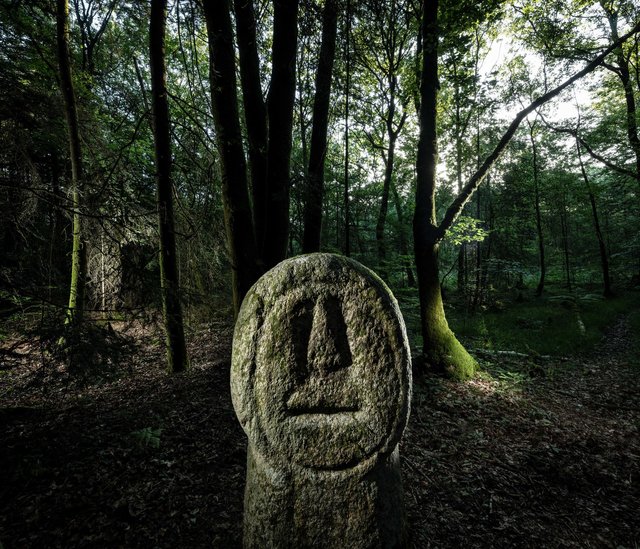 Forêt de Trédion, le Babouin