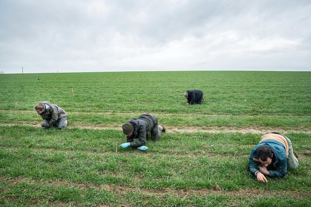 Laboratoire Ecobio, biodiversité, pour le CNRS
